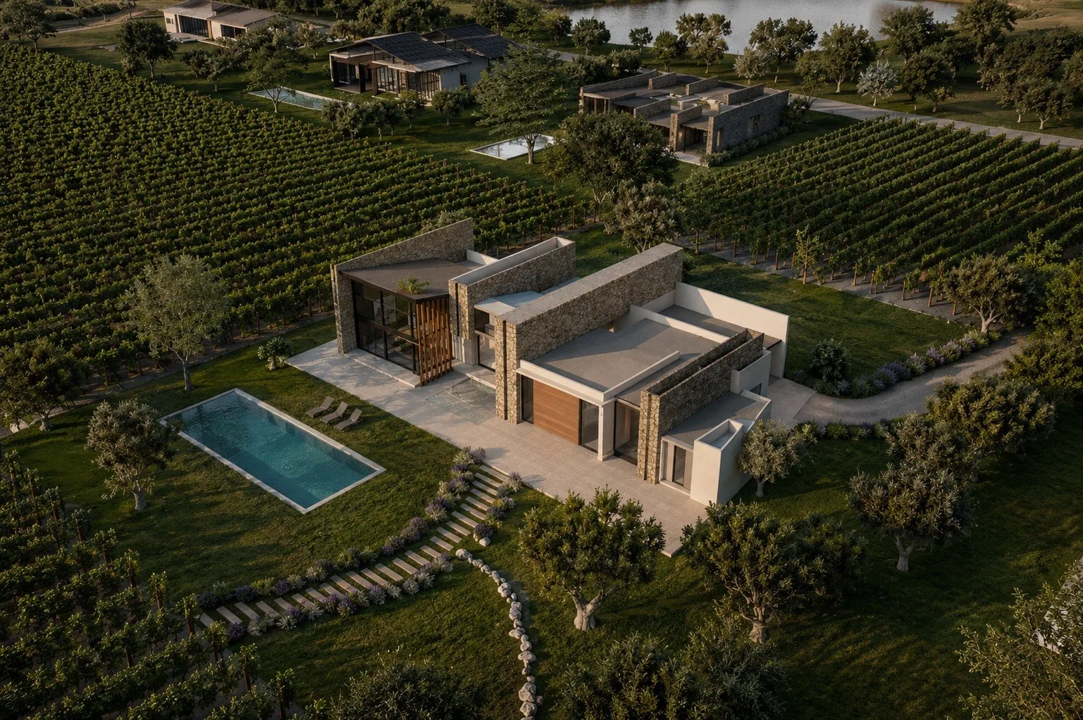 Aerial view of a Puerta del Lobo vineyard residence with pool, gardens, and surrounding vine rows